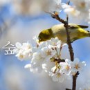 한라기획 - 제주시 조천2길 25 | 한라기획