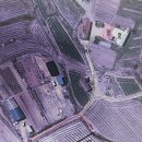 차리농장 Daum카페