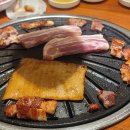 고기싸롱 티스토리