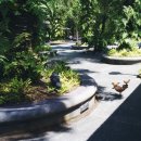 거북이가든 이미지