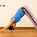 키크는 요가 이미지
