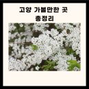 고양 가볼만한 고양 가볼만한곳 베스트10 고양 가볼만한곳 이미지