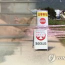 고 수정사 이미지