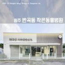반곡동 작은동물병원 이미지