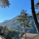 용추솔밭관광농원 이미지