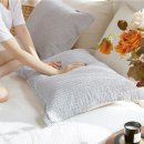 별보리스테이 이미지