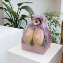 한빛청과 | 파주과일바구니 화월청과 역시 퀄리티 믿을 수 있죠