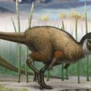 공룡PC방 이미지