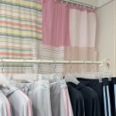 퍼피온리 이미지