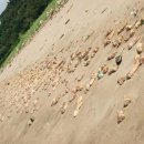 중국 해안에 웬 돼지 족발?…수만개 분량 밀려와 이미지