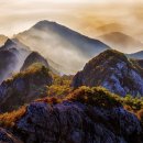 원효초교 이미지