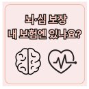 ◈빌리프보험 ◈ 내보험 뇌·심 보장이 빠져있는지 반드시 점검하세요. 이미지