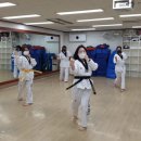 용인대 한신 태권도 이미지