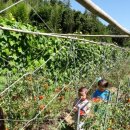 하늘바다어린이집 이미지