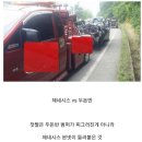 두돈반 이미지