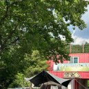 아날로그데이 이미지