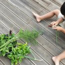 도도앤하우스 이미지