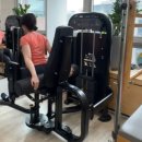 내몸에 건강이야기 | 디에이치고 필라테스&amp;PT 후기-내 허리 건강 이야기