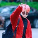 젠틀핑크 이미지