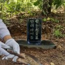 보듬펫 | 대구 강아지 고양이 장례 후, 성주 강아지 펫헤븐 안치 방법