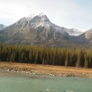 (주)타이어닥터 이미지