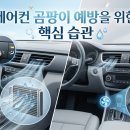 셀프크리닝 티스토리
