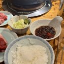 다루마 네이버블로그