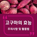 고구마짐 이미지