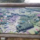 메이즈랜드 이미지