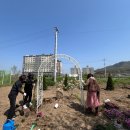 동부2리 이미지