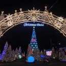 별빛마을리조트 이미지