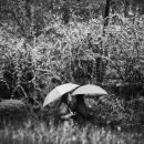 오륜중학교 이미지