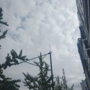 동탄수제담배