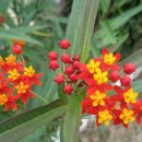 입석1리 이미지