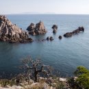 신안(여) 이미지