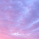 자담하우스 이미지