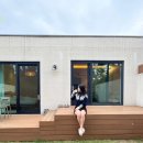 제주하뭄 이미지