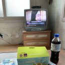 은정민박 이미지