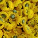 동국농장 이미지