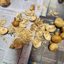 텃골2 농장 이미지