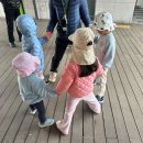 봄봄마트 | [서울 창포원] 봄봄! 봄이왔어요 공원탐방 후기 : 43개월 아기랑 엄마랑 참여/주말 아기랑 갈만한 곳...