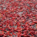 마산4리마을회관 이미지