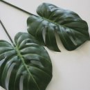 어반하우스 이미지