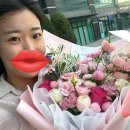 분당정자3-A-11 | 분당 우마카세 추천, '우몽블랙 정자점' 내돈내산 후기!