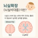 팀미음 | 소아 뇌실확장 MRI 후기: 세브란스 소아신경과 정상 소견까지의 감동 여정