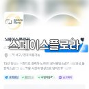 포스트스페이스 | W5. 30만원대 가성비 본식 스냅 스페이스플로라 계약 후기(짝꿍 코드)