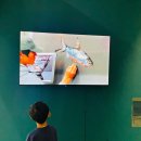 명화애견유치원 | 용인 아이와 실내 가볼만한 곳 뮤지엄그라운드 미술관 (체험형 전시, 도슨트 관람)