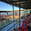 부흥호가두리낚시터 이미지