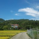 가창 송하 이미지