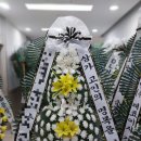새통영병원장례식장
